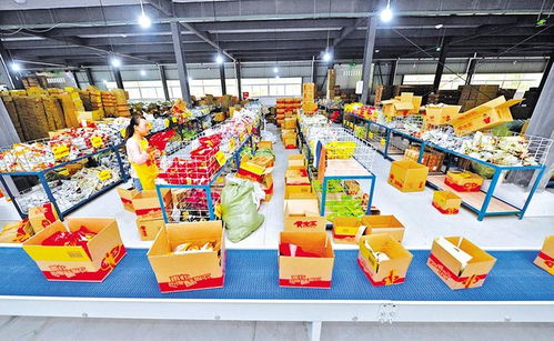 內江日報 餐飲服務行業的變革與發展